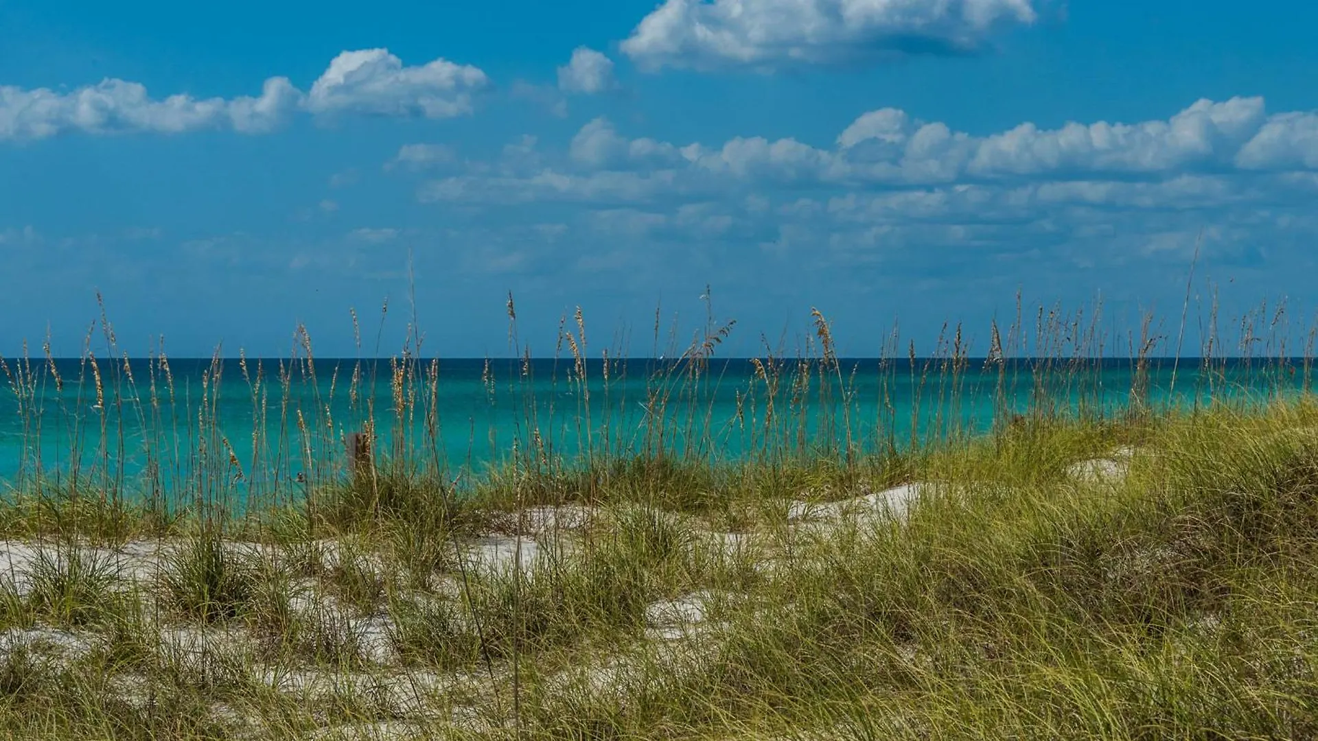 Apartment Aqua Resort 2003 By Emerald Coast Retreats Panama City Beach United States